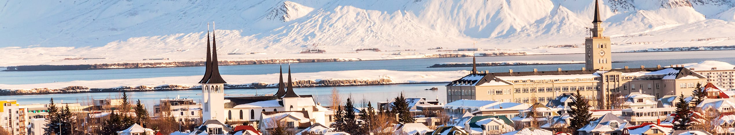 Firmarejser til Island