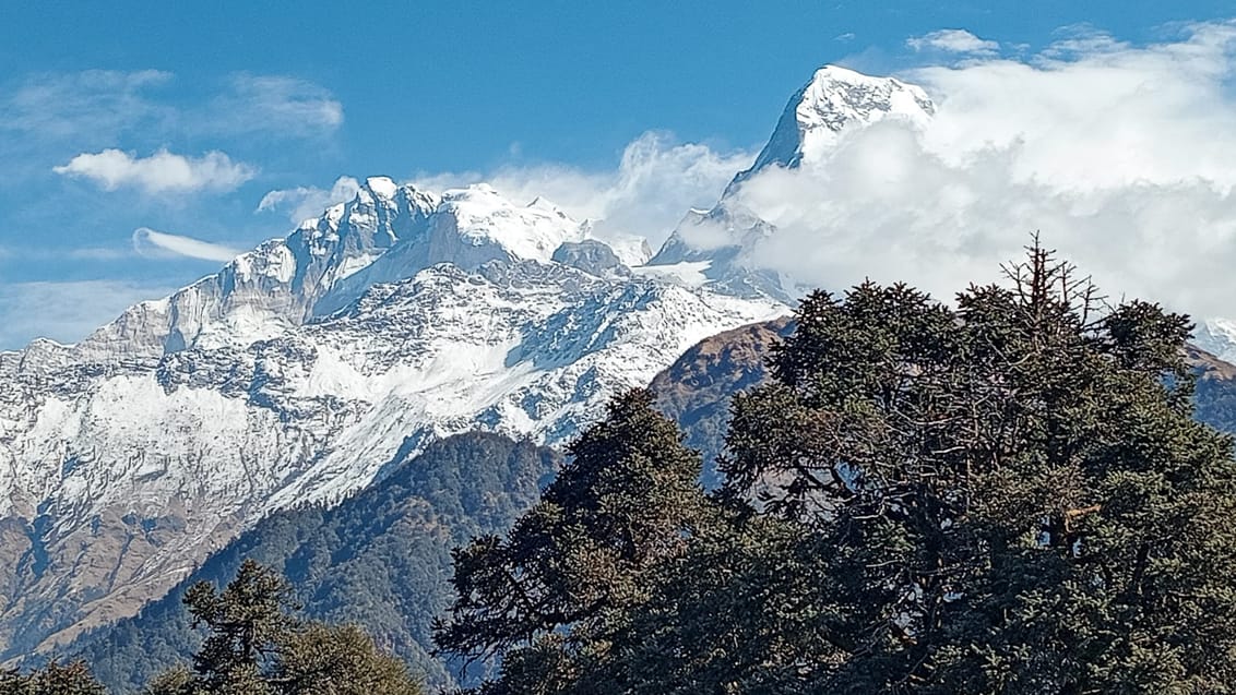 Trek det fantastiske Mardi Himal - her ved Badal Danda