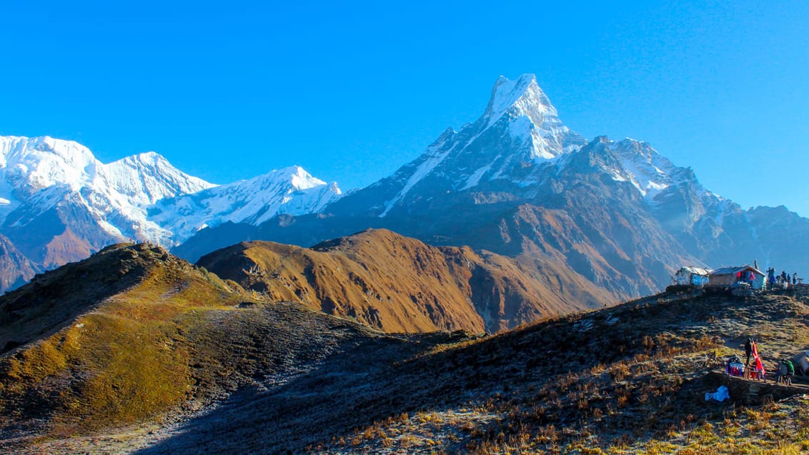 Fantastisk trekking på Mardi Himal turen i Nepal
