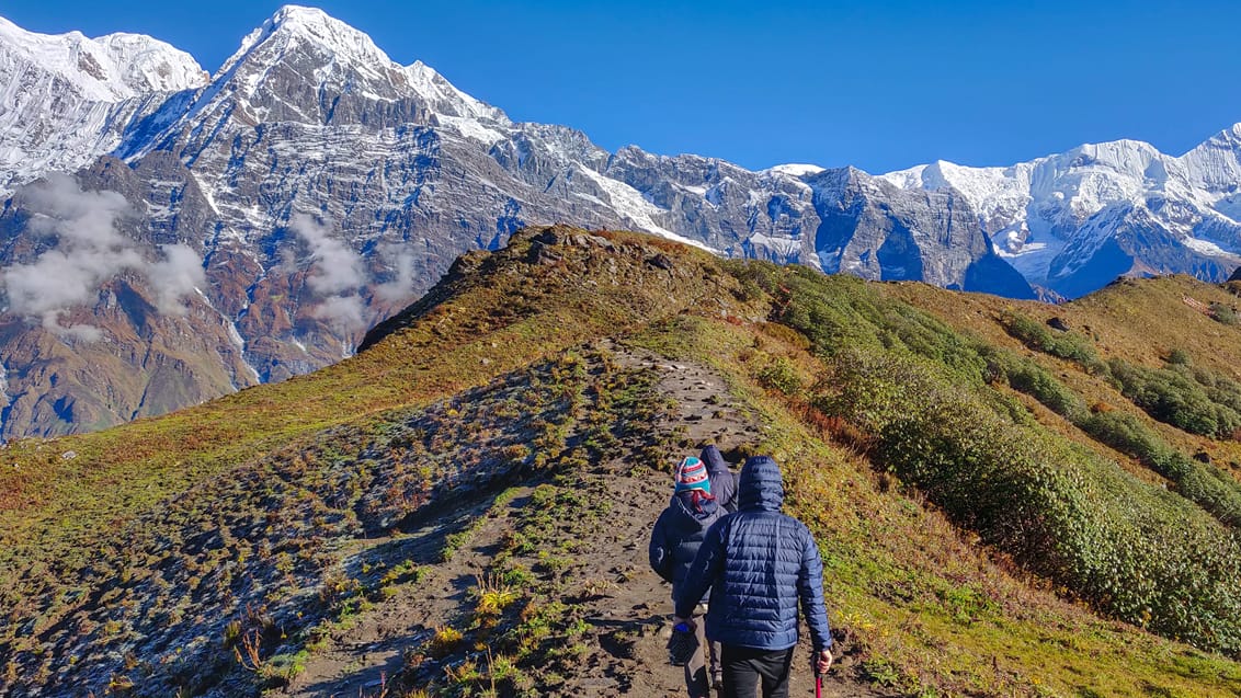 Trekking Mardi Himal
