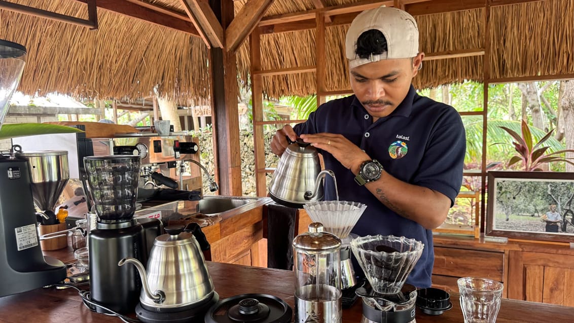 Cashew- og kaffefarm, Sumba, Indonesien