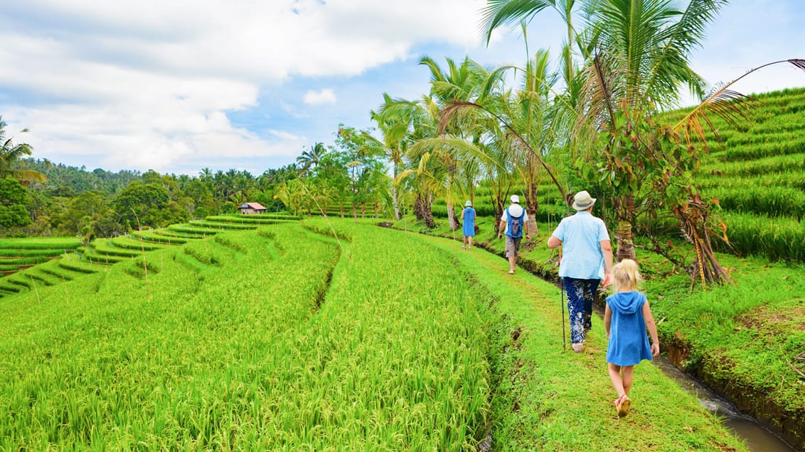 Familie på tur i Balis rismarker, Indonesien