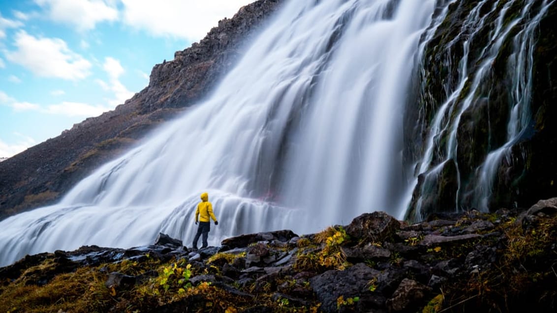 Vestisland - Snæfellsnes, Flatey & Vestfjordene