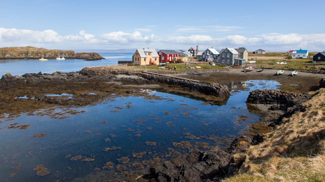 Vestisland - Snæfellsnes, Flatey & Vestfjordene