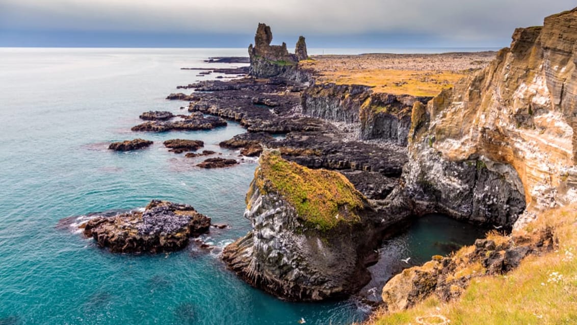 Vestisland - Snæfellsnes, Flatey & Vestfjordene