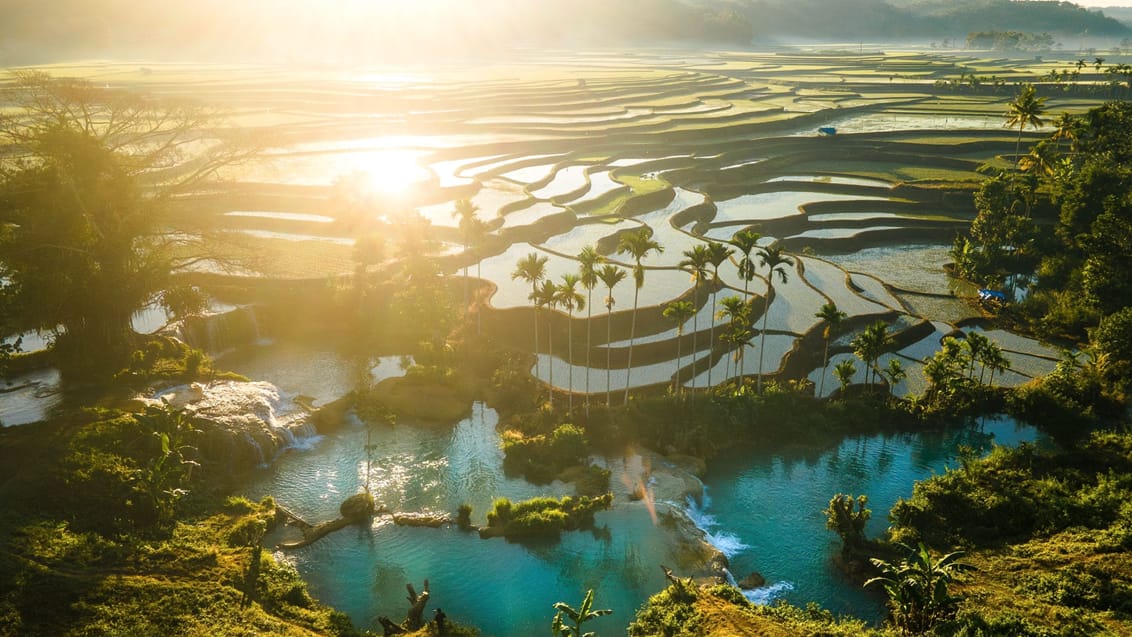 Waikacura-rismarkerne på Sumba, Indonesien