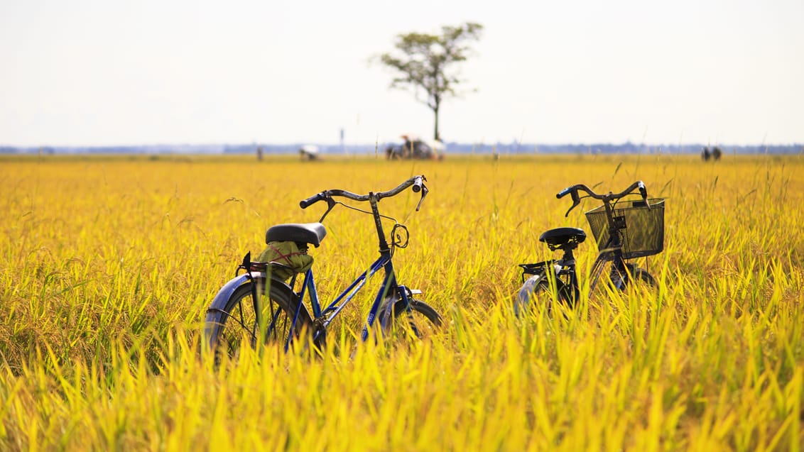 Tag på cykelrejse fra Vietnam til Thailand