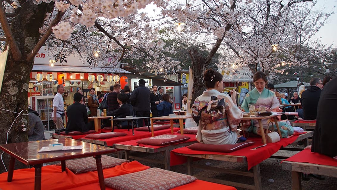 Tag familien med på eventyr i Japan