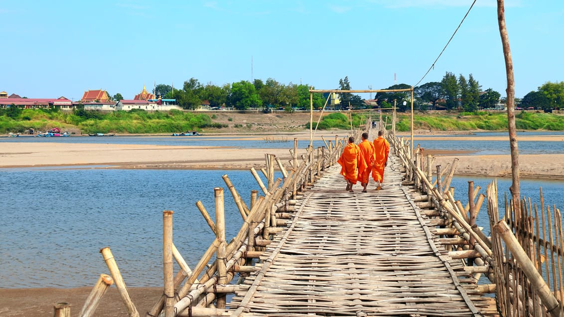 Bamboo Bridge
