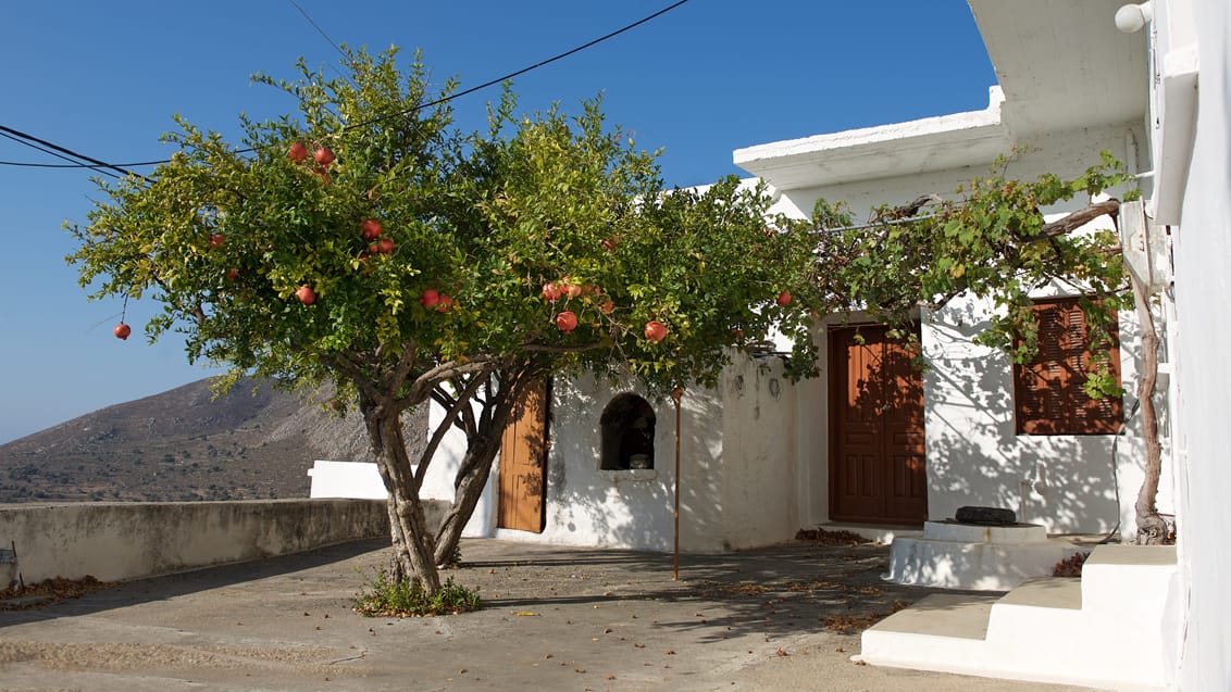 Tilos