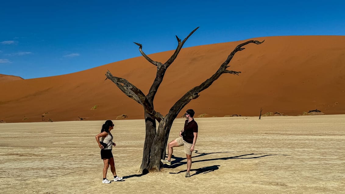 Deadvlei i Namibia