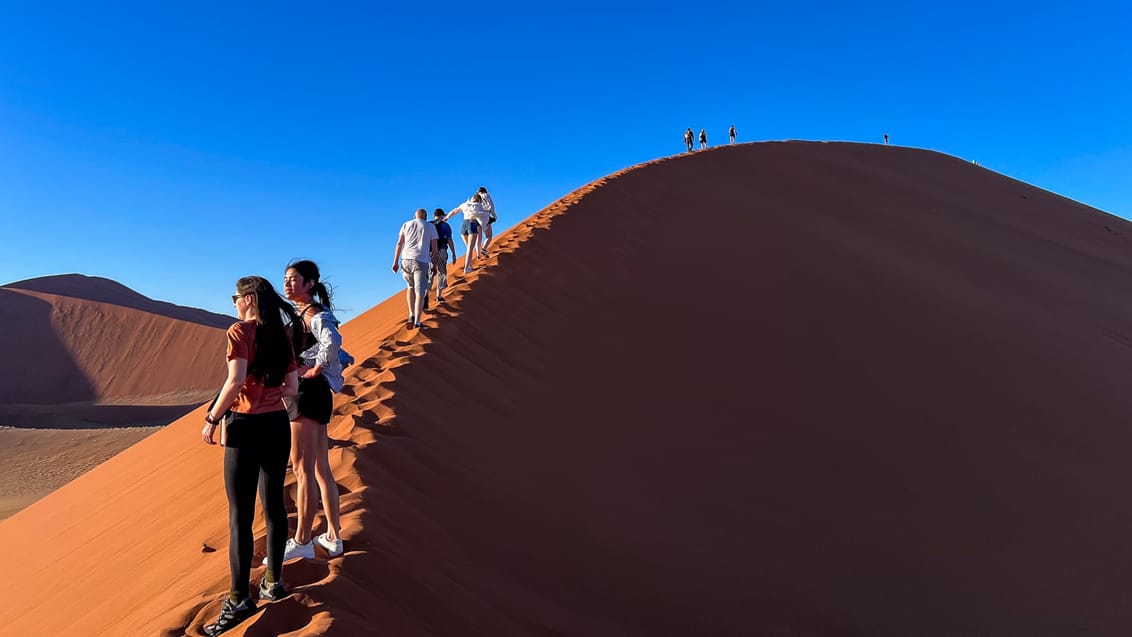 På vej op af de enorme sandklitter ud fra Sossusvlei i Namibia