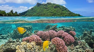 Fransk Polynesien Huahine Island