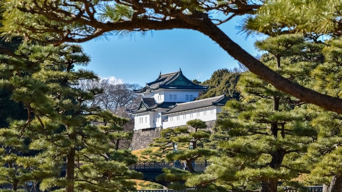 Imperial palace, Tokyo