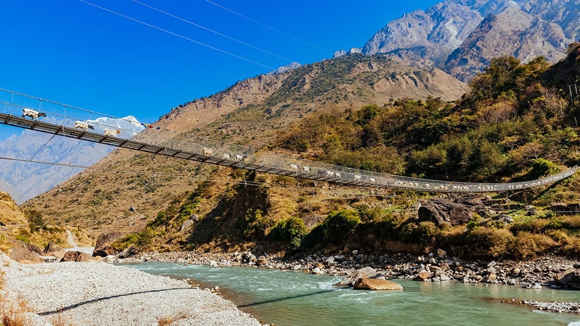Rundt om Manaslu med dansk rejseleder