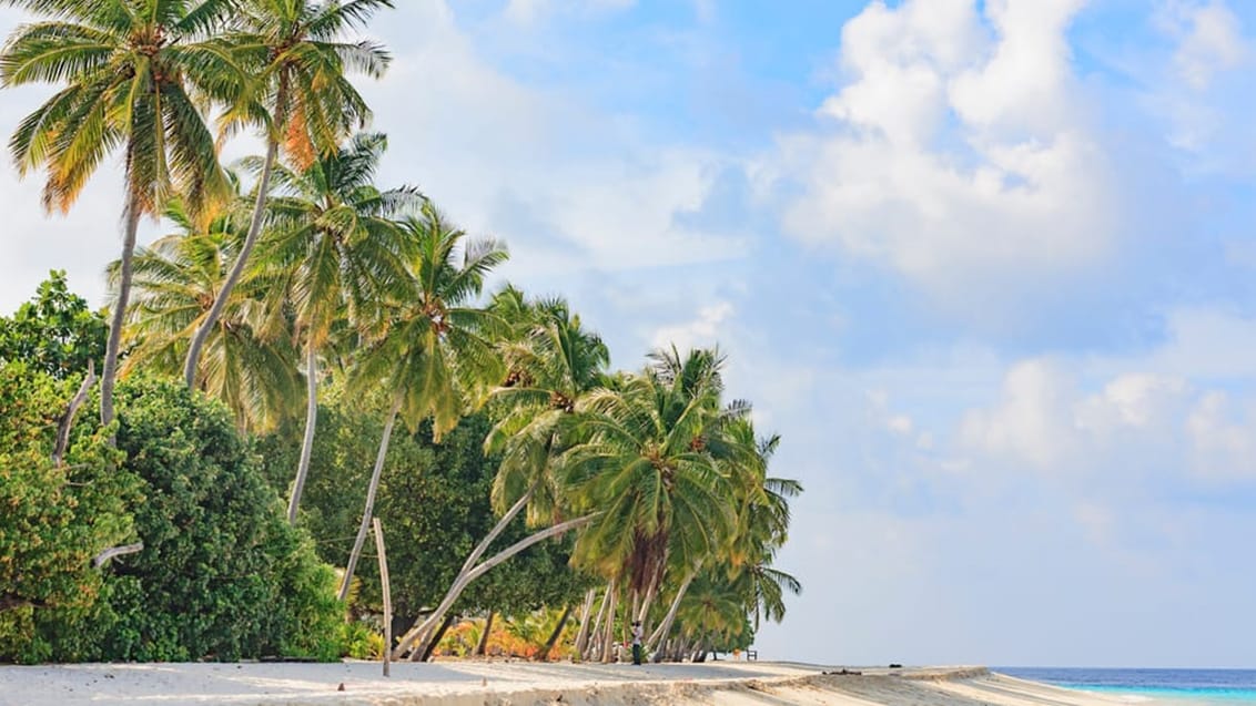 Strand, Maalhos