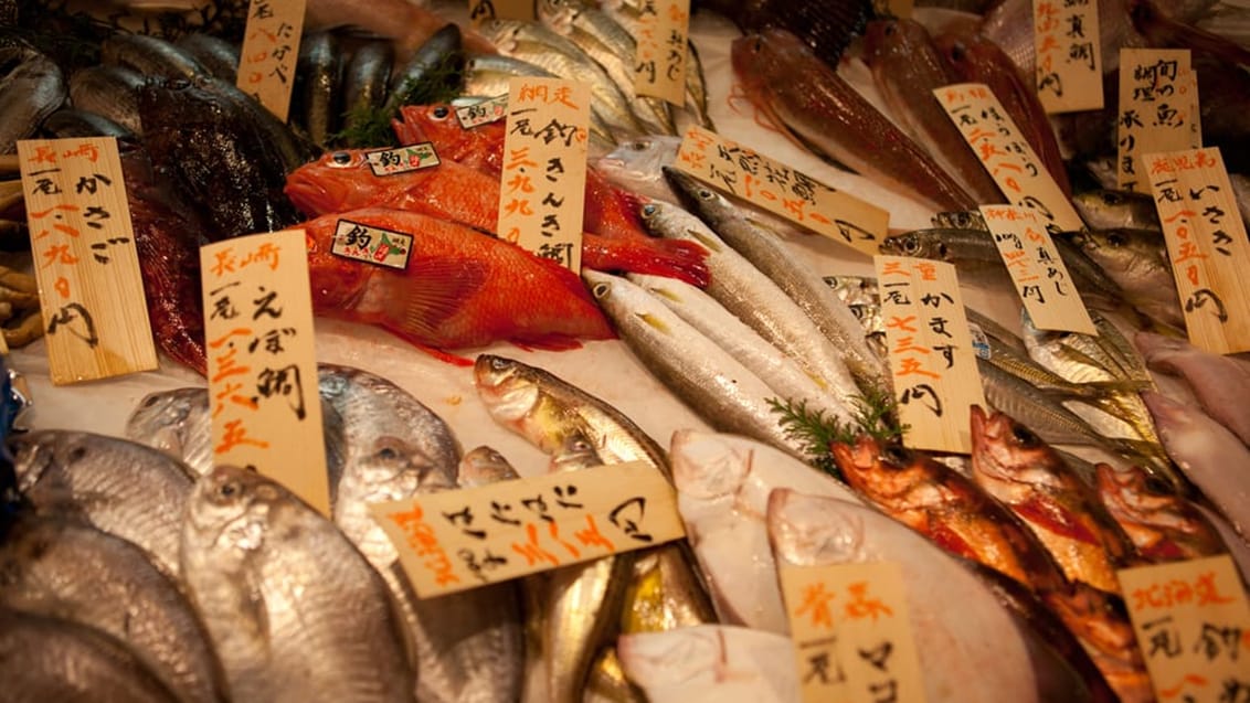 Tsukiji Fish Market, Tokyo