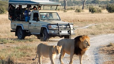 Botswana safari og Victoria Falls