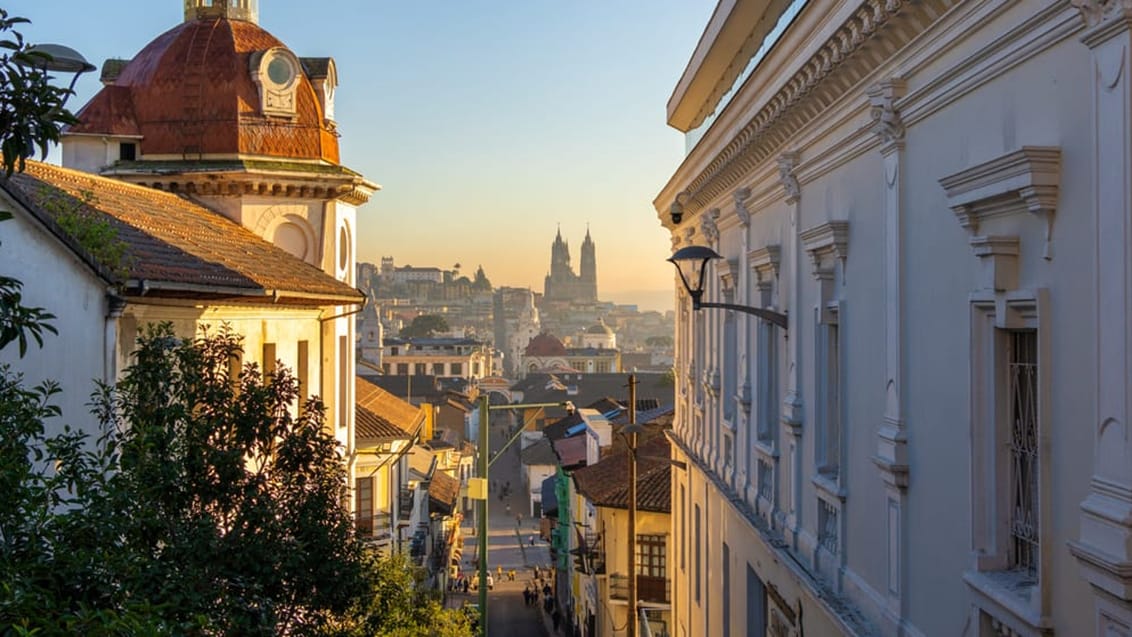 Hovedstaden Quito ligger smukt placeret i Andesbjergene i ca. 3.000 meters højde. Den gamle bydel byder på flotte historiske spanske kirker, brostensbelagte gader og masser af museer