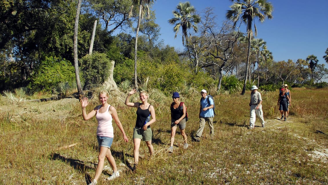 På eventyr i bushen i Botswana