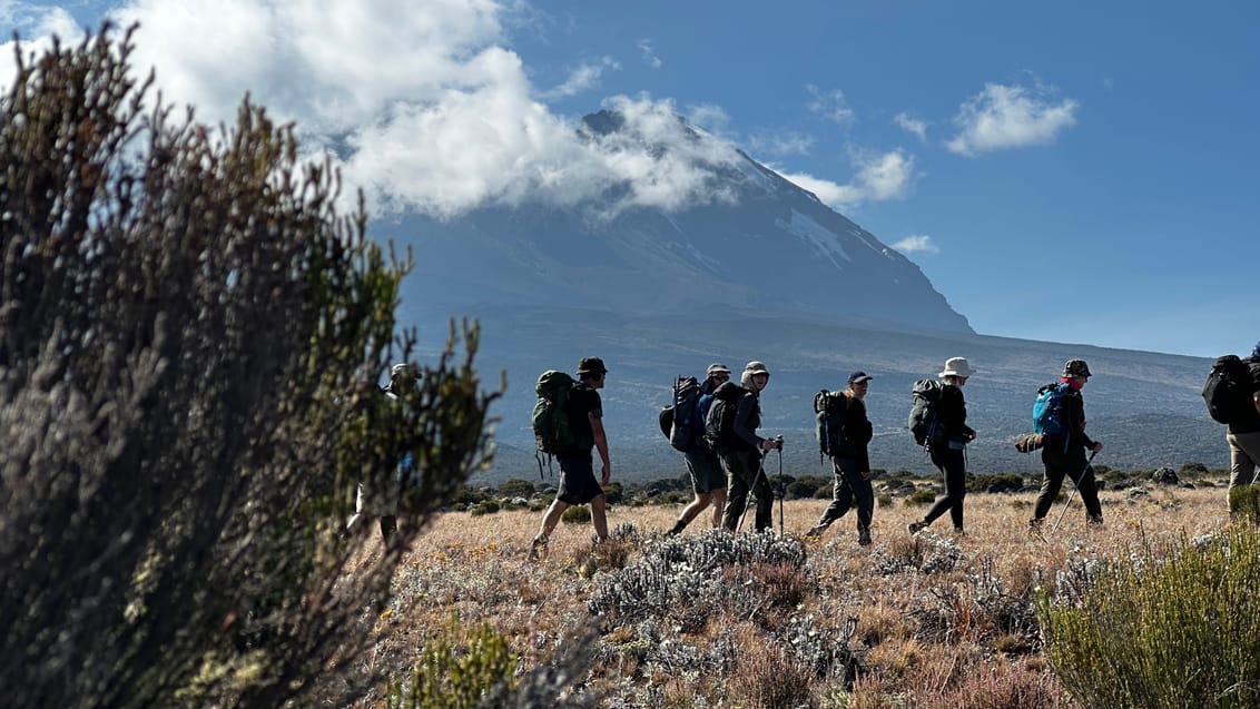 Kilimanjaro og selvudvikling