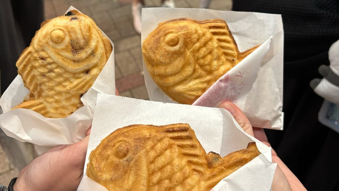 Osaka street food tur