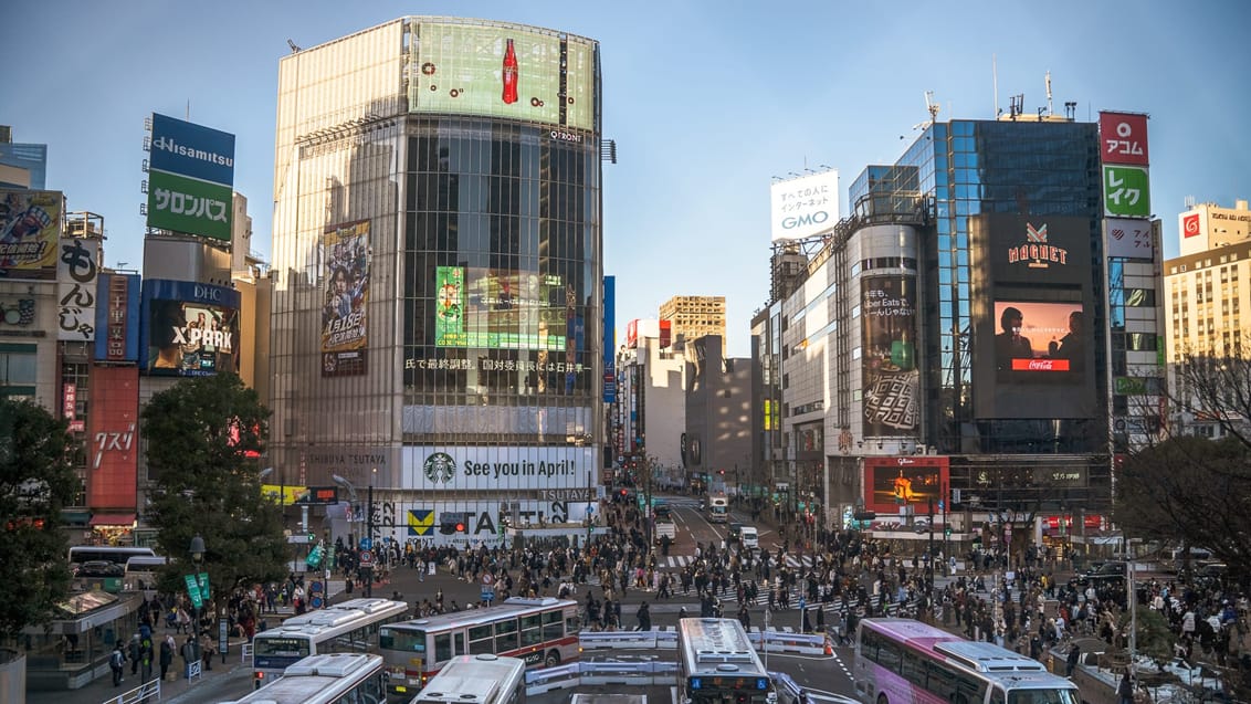 Shibuya crossing
