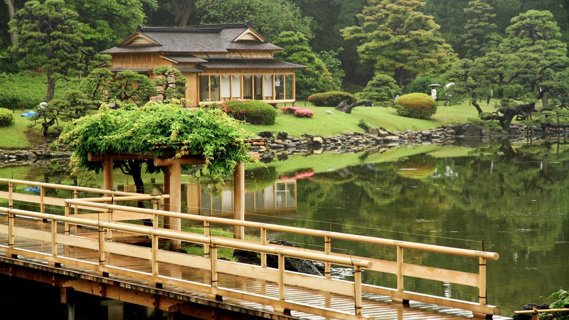 Traditionelt te hus, Hamarikyu - Tokyo