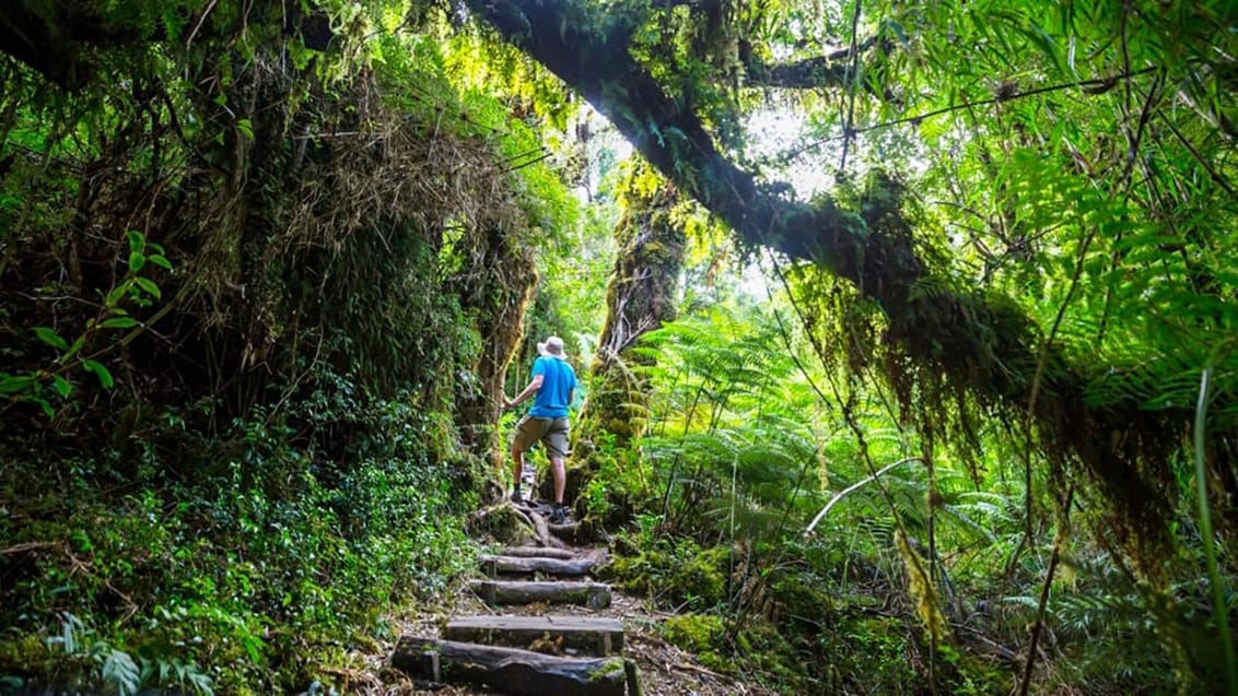 Carretera Austral - episk Patagonien-roadtrip
