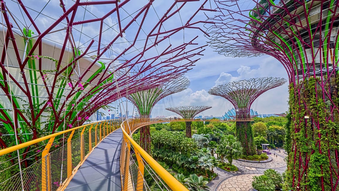 Gardens by the bay, Singapore