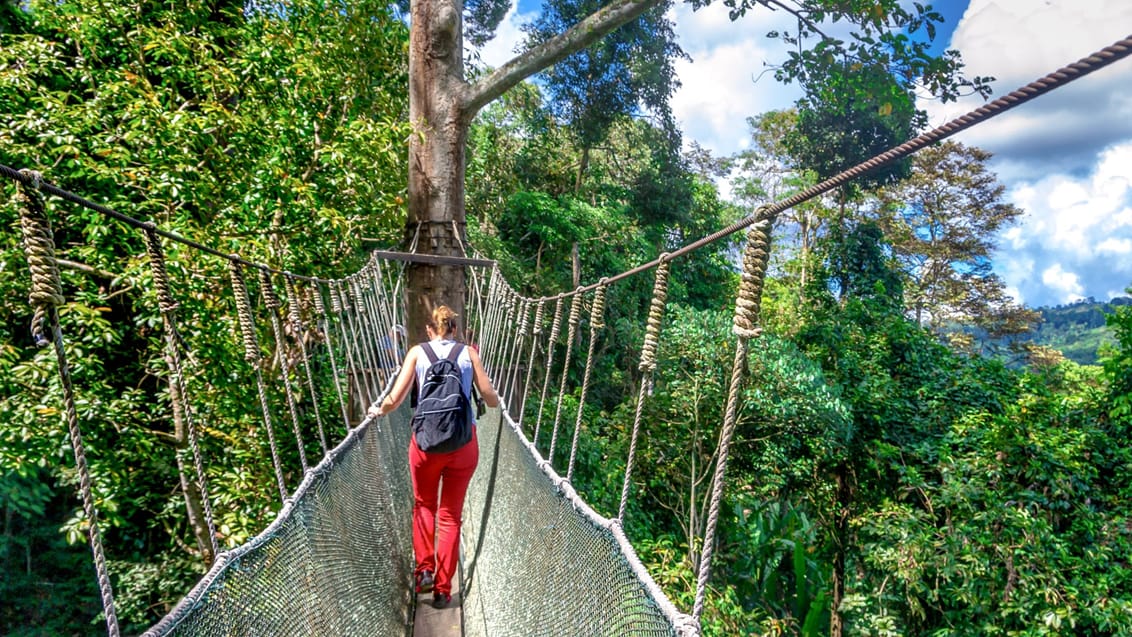 Hængebro, Borneo