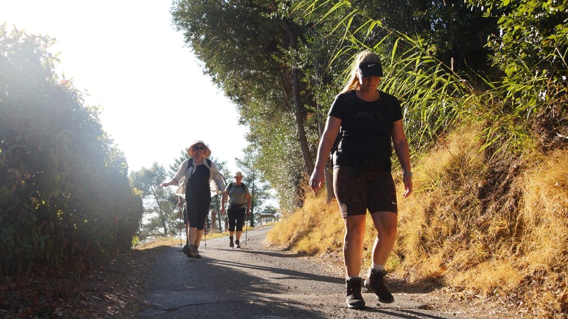Pilgrimsvandring, terræn
