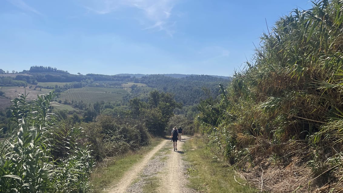 Pilgrimsvandring, udsigt