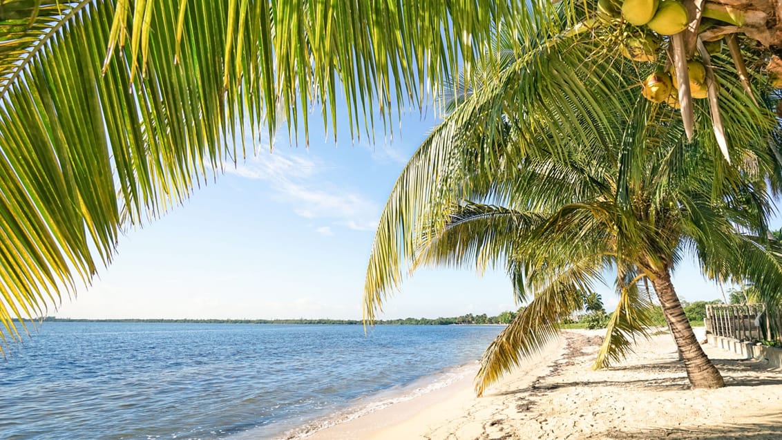 Playa Larga, Cuba