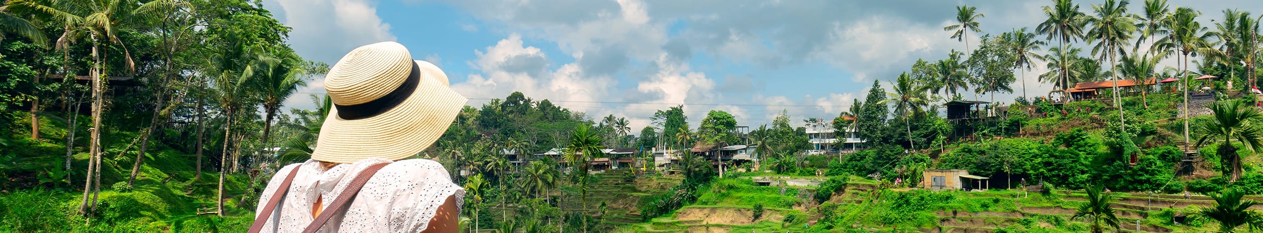 Rismarker ved Ubud på Bali