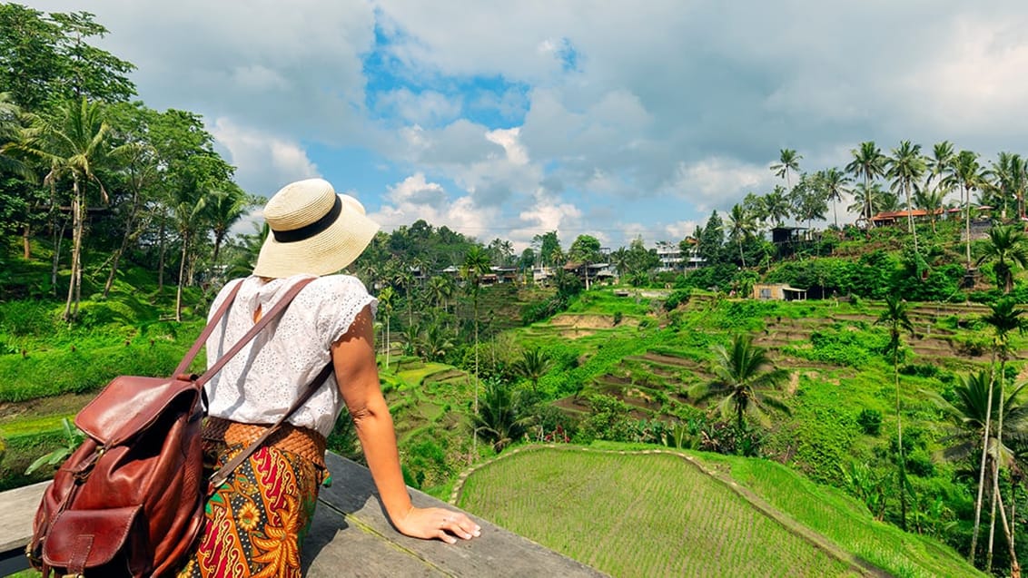 Rismarker ved Ubud på Bali