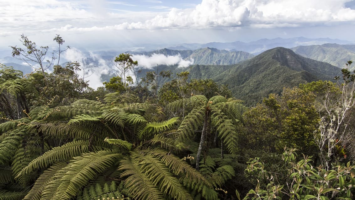 Sierra Maestra, Cuba