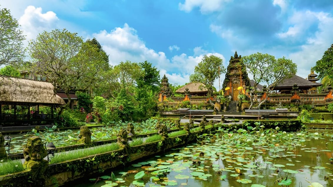 Tempel, Ubud
