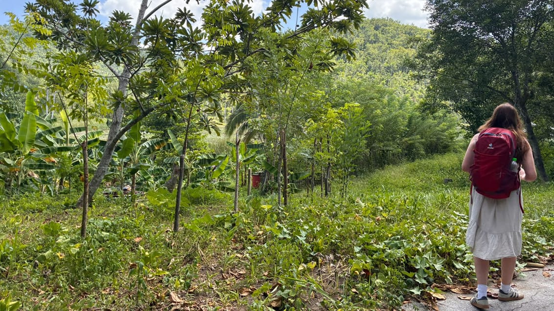 Vandring i Las Terrazas, Cuba