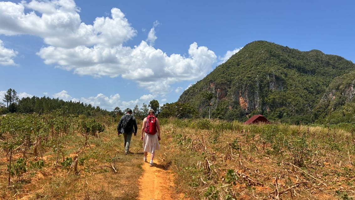 Vandring i Viñales-dalen, Cuba