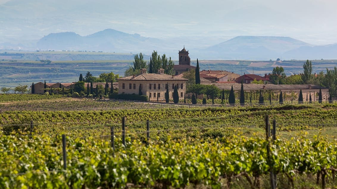 La Rioja-regionens vingårde, Spanien