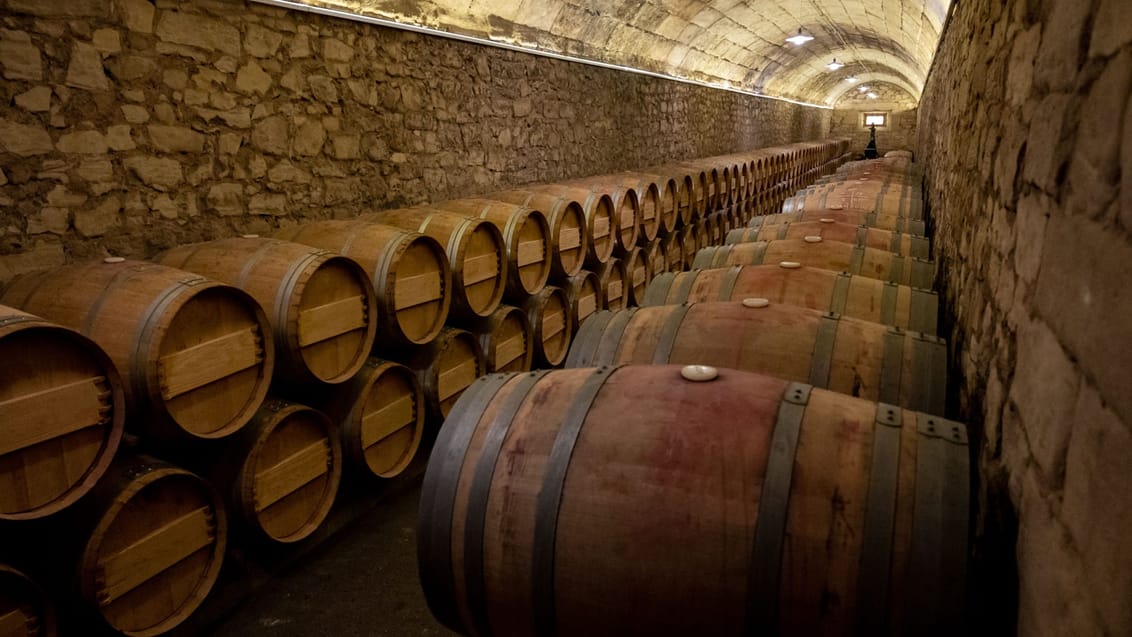 Vinproduktion i La Rioja, Spanien