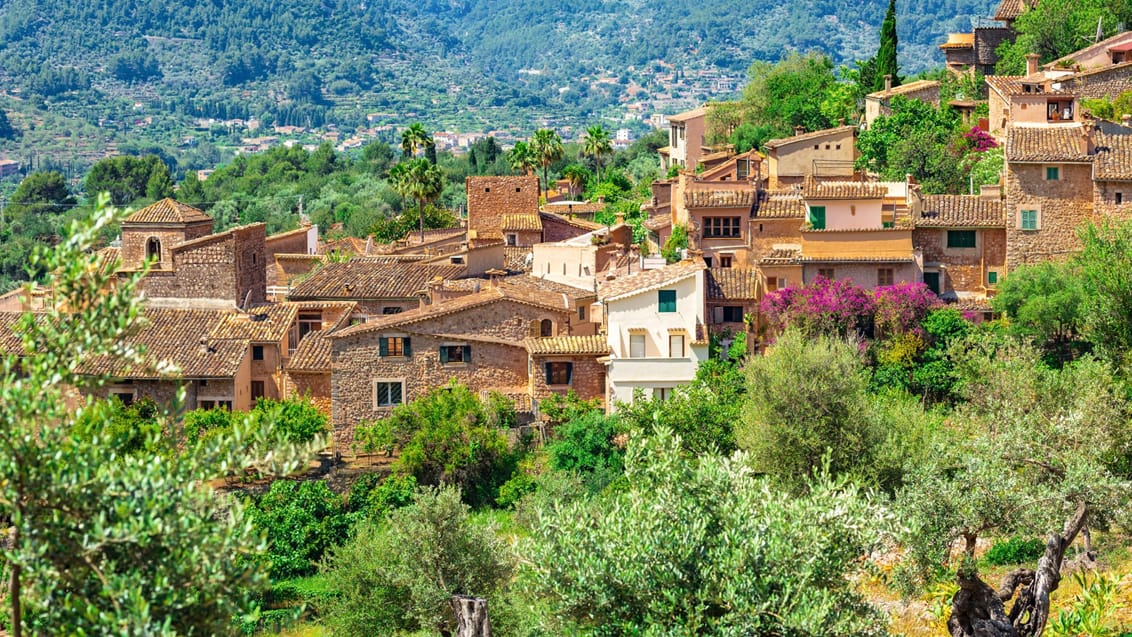 Fornalutx, Mallorca, Spanien