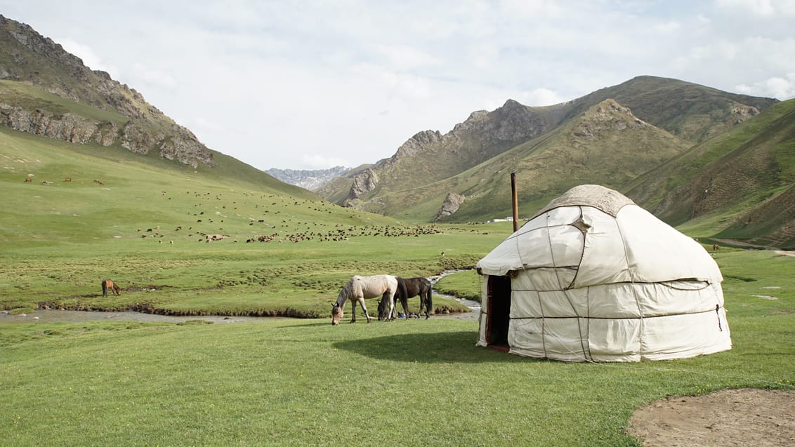På hesteryg gennem Kirgisistan
