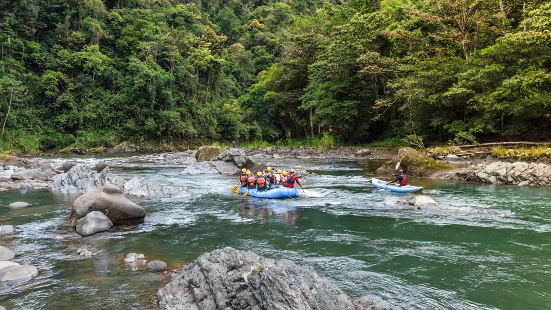 River rafting på Pacuare River, Costa Rica