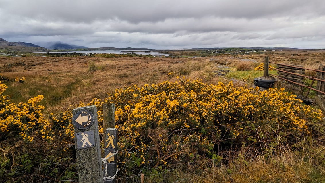 Vandring i vestlige Irland