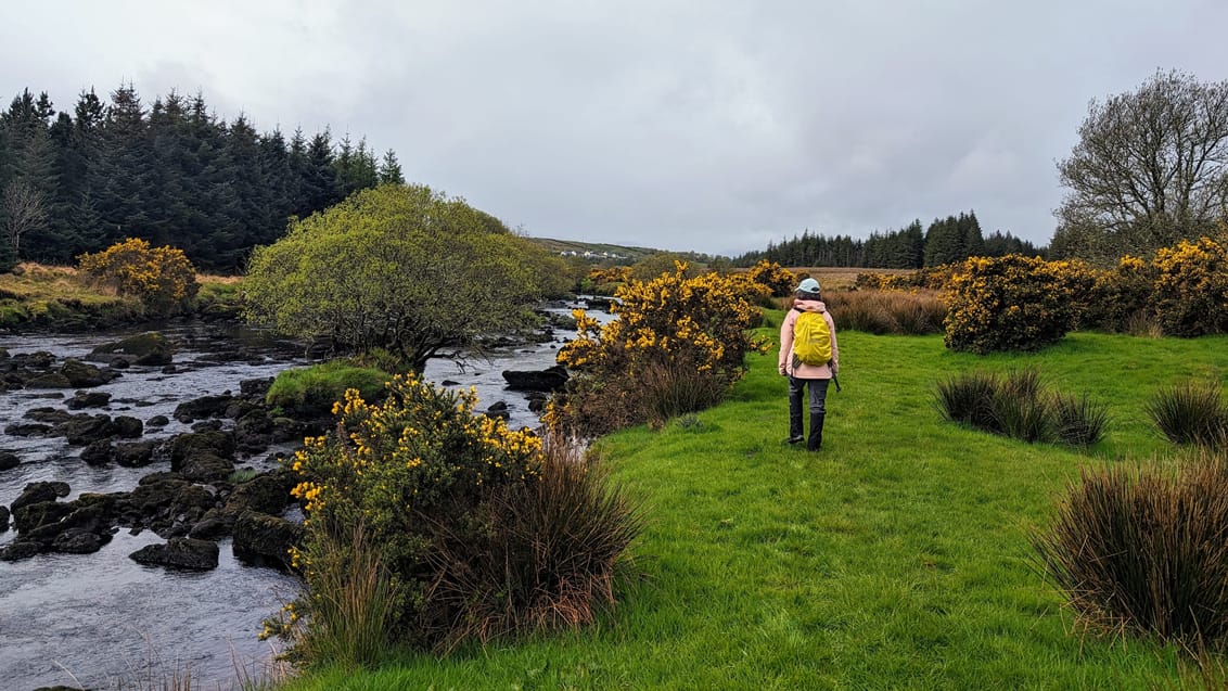 Vandring i vestlige Irland