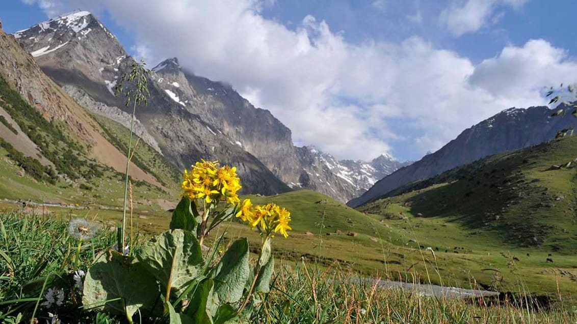 Vandring og nomadeliv i Kirgisistan