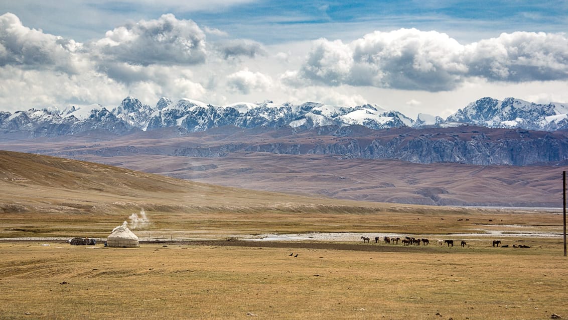 Vandring og nomadeliv i Kirgisistan