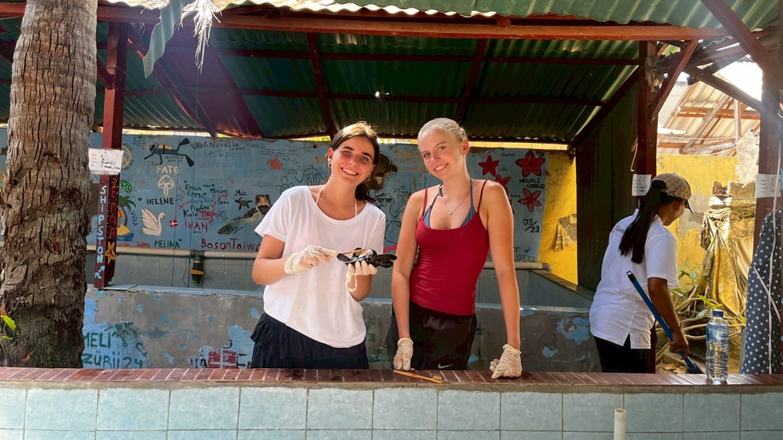 Frivilligt arbejde på Nusa Penida, Indonesien